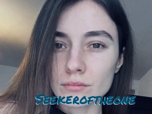 Seekeroftheone