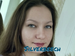 Silverbeech