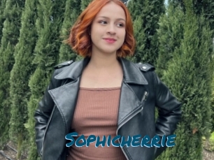 Sophicherrie