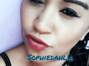 Sophiedahlia