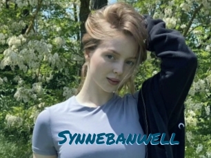 Synnebanwell