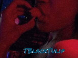 TBlackTulip