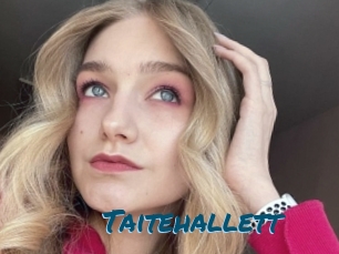 Taitehallett