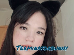 Terminatorbunny