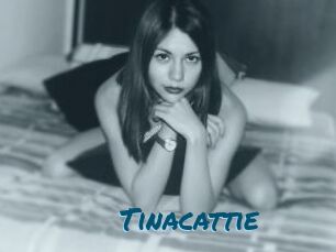 Tinacattie