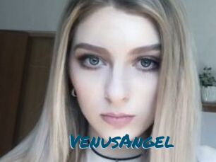 VenusAngel