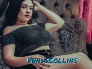 VenusCollins