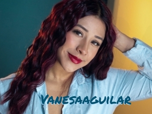 Vanesaaguilar