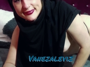 Vanezaleviz