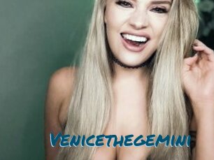 Venicethegemini