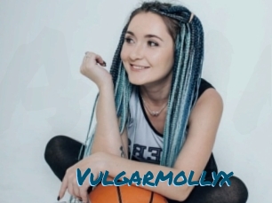 Vulgarmollyx