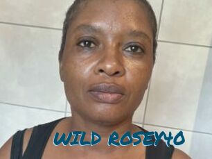 WILD_ROSEY40