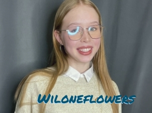 Wiloneflowers