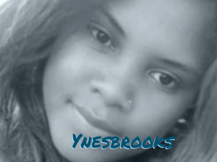 Ynesbrooks